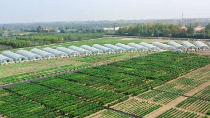 2021第三屆鄭州種業(yè)博覽會(huì)暨第六屆中原國(guó)際種業(yè)科技展覽會(huì)將啟