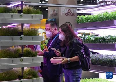 進博會上的農(nóng)業(yè)革命 集裝箱里種菜看種業(yè)創(chuàng)新
