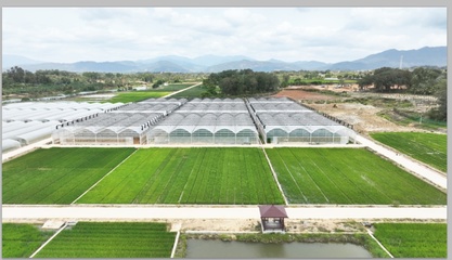 跨越千里，上海農科青年在“種業硅谷”播種未來