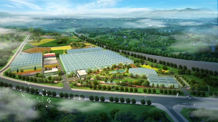 加強(qiáng)國(guó)際交流合作，推進(jìn)花卉種業(yè)再上新臺(tái)階